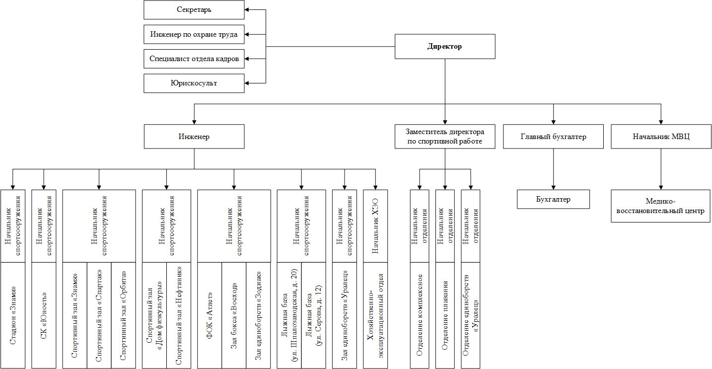 Структура МАУ СШ "Знамя"